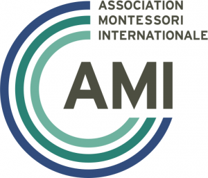 ami logo